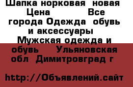 Шапка норковая, новая › Цена ­ 5 000 - Все города Одежда, обувь и аксессуары » Мужская одежда и обувь   . Ульяновская обл.,Димитровград г.